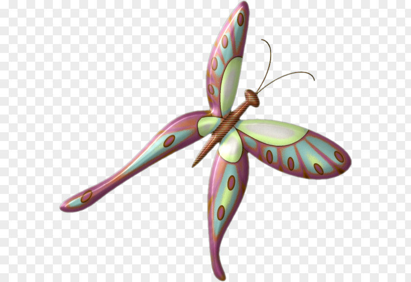 Butterfly Clip Art PNG