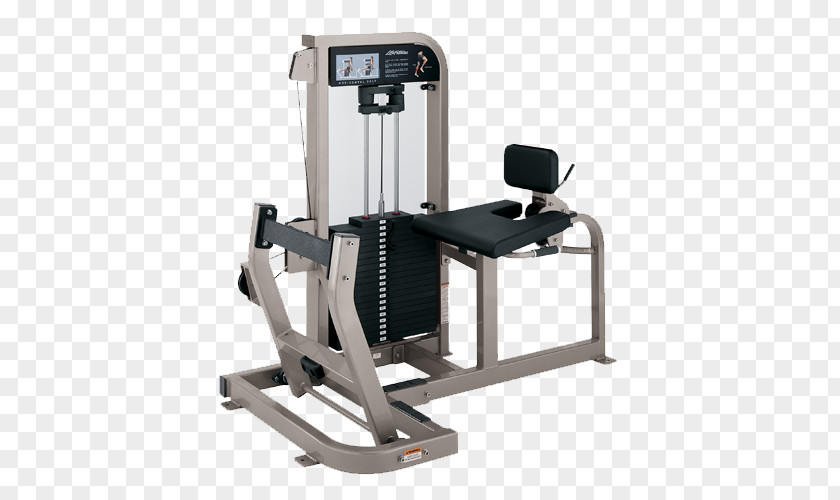 Calf Exercise Equipment Fitness Centre Raises Life PNG