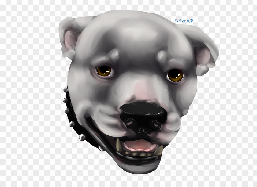 Dog Snout Headgear PNG