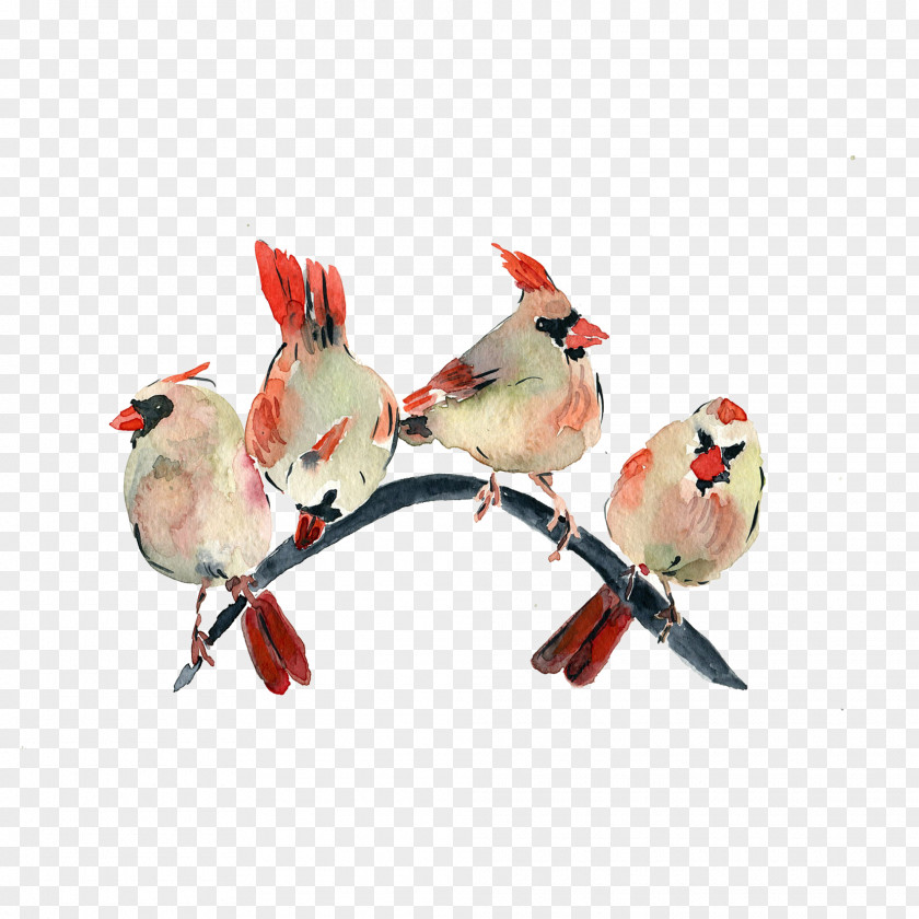 Free Watercolor Bird Pull Material Painting PNG