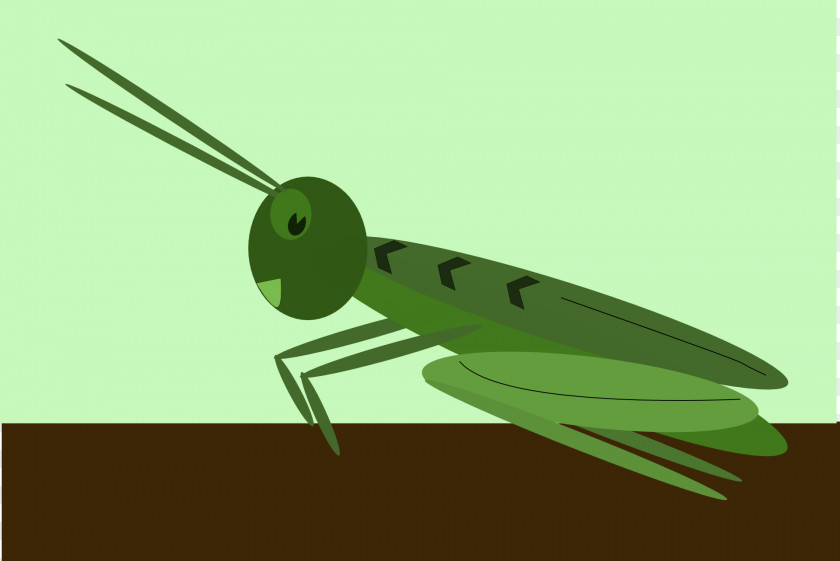 Grasshopper Jiminy Cricket Sound Effect Chirp PNG