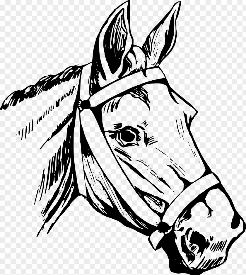 Horse Riding Head Mask American Quarter Clip Art PNG