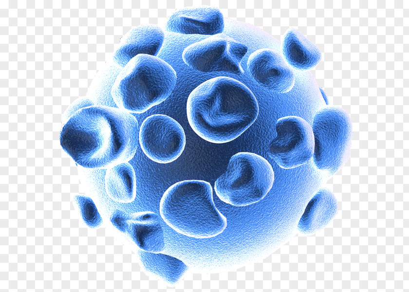 Mosaic Virus Influenza 3D Computer Graphics Modeling PNG