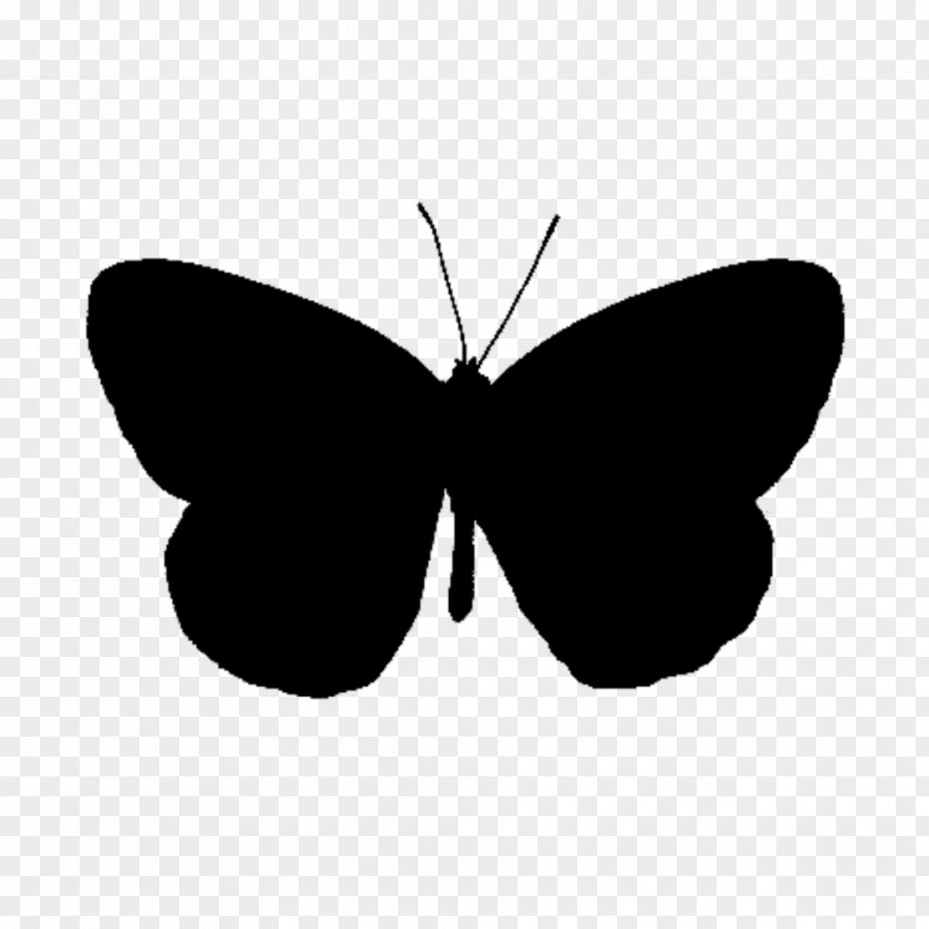 Brush-footed Butterflies Clip Art Line Silhouette Black M PNG