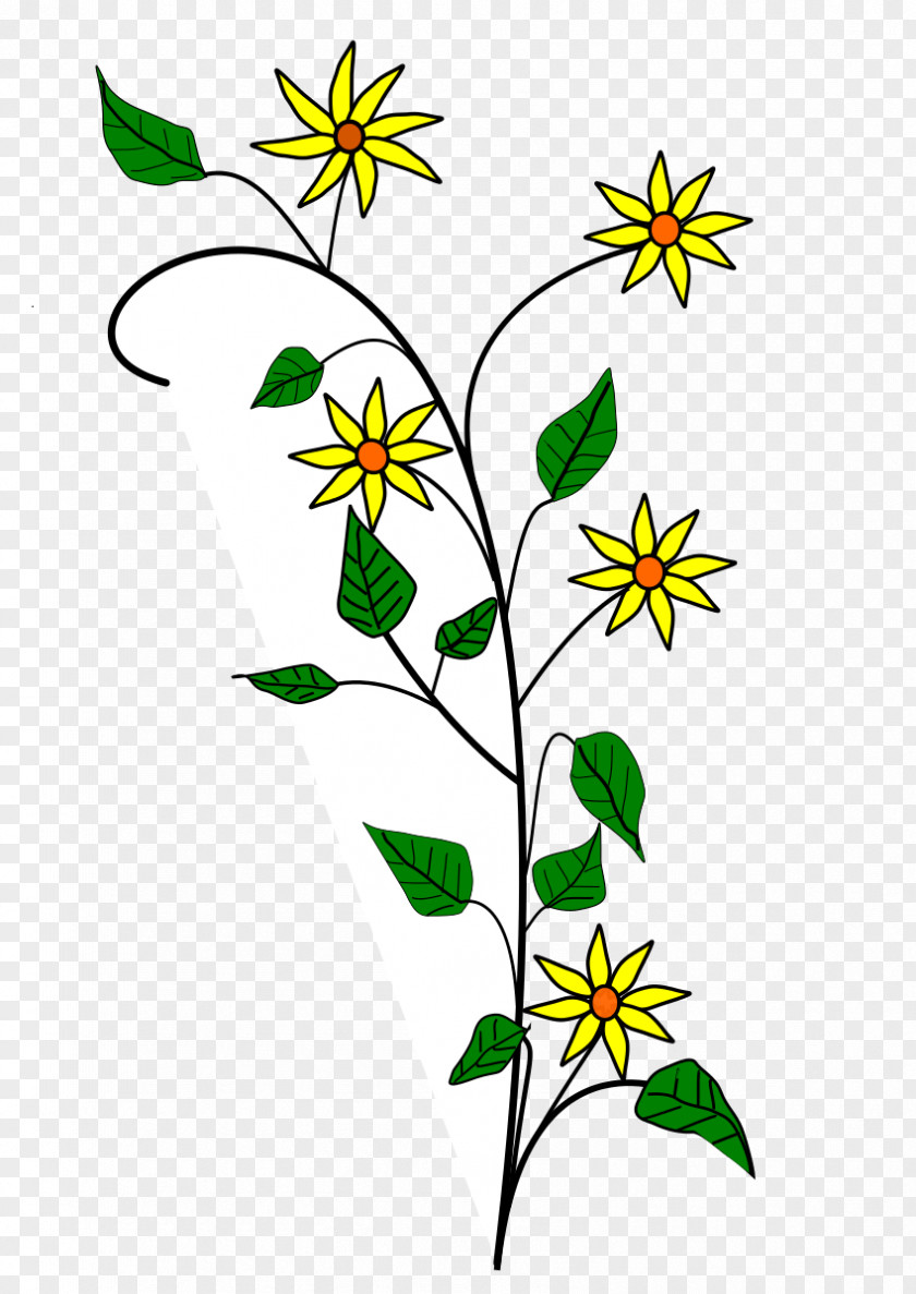 Edelweiss Border Cliparts Flower Drawings A Simple PNG