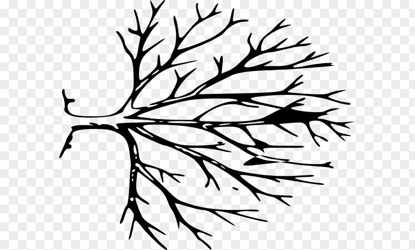 Elongated Vector Tree Trunk Branch Clip Art PNG