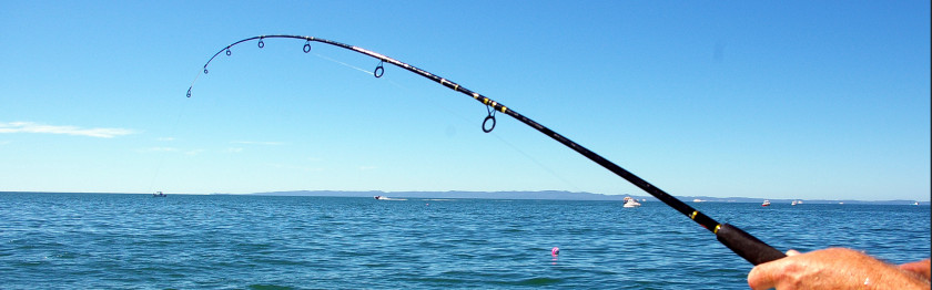 Fishing Pole New Zealand Recreational Rods Reels PNG