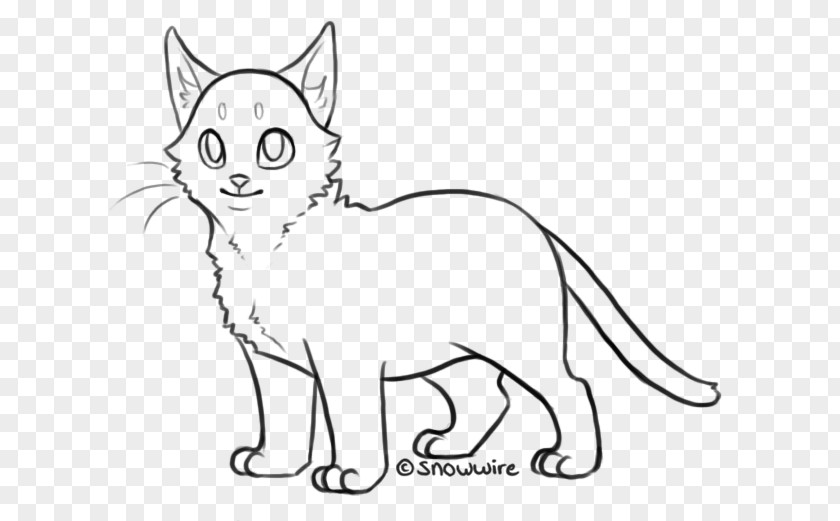 Kitten Whiskers Line Art Domestic Short-haired Cat PNG