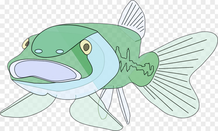 Catfish Northern Largemouth Bass Fish Cartoon Green Sketch PNG