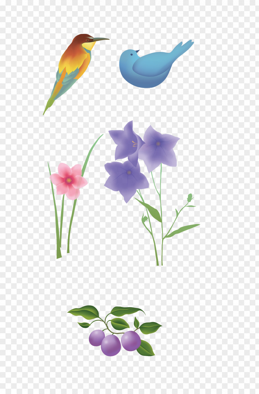 Chinese Style Painted Lilac Birds Euclidean Vector Computer File PNG