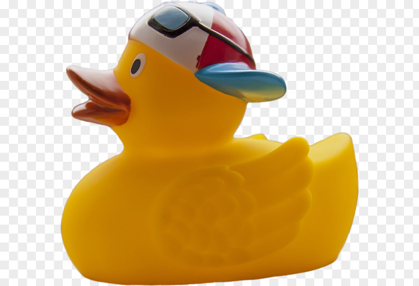 Duck Rubber Debugging Natural PNG