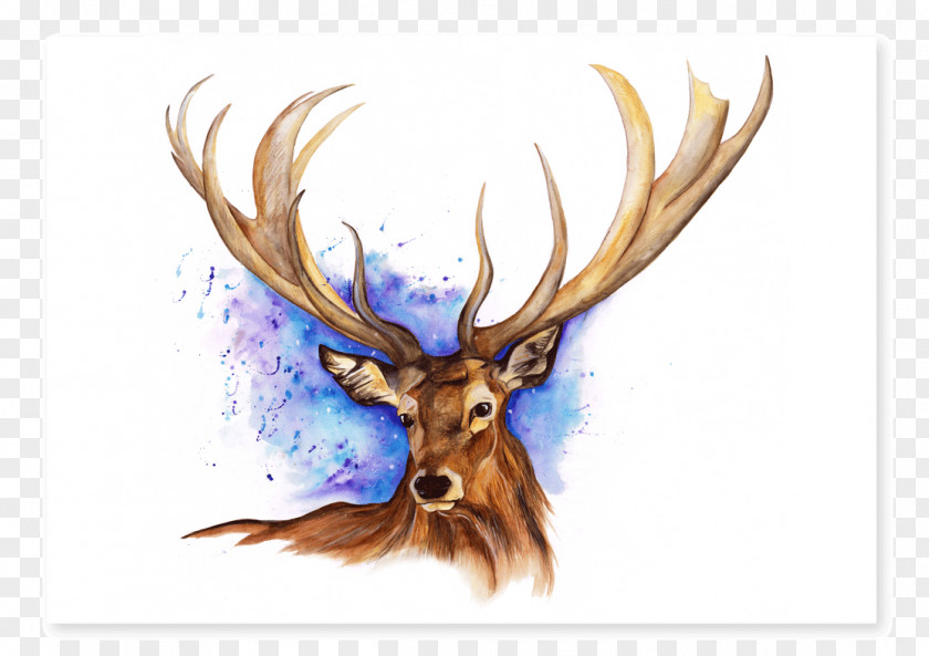 Hand-painted Deer Elk Reindeer Antler Watercolor Painting PNG