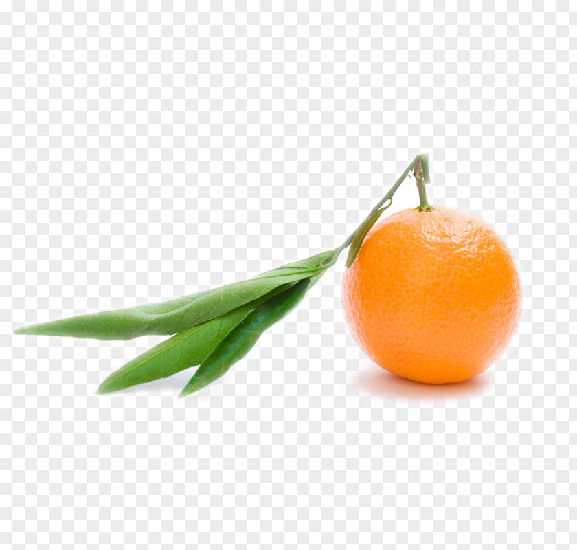 Orange Juice Clementine S.A. Mandarin PNG