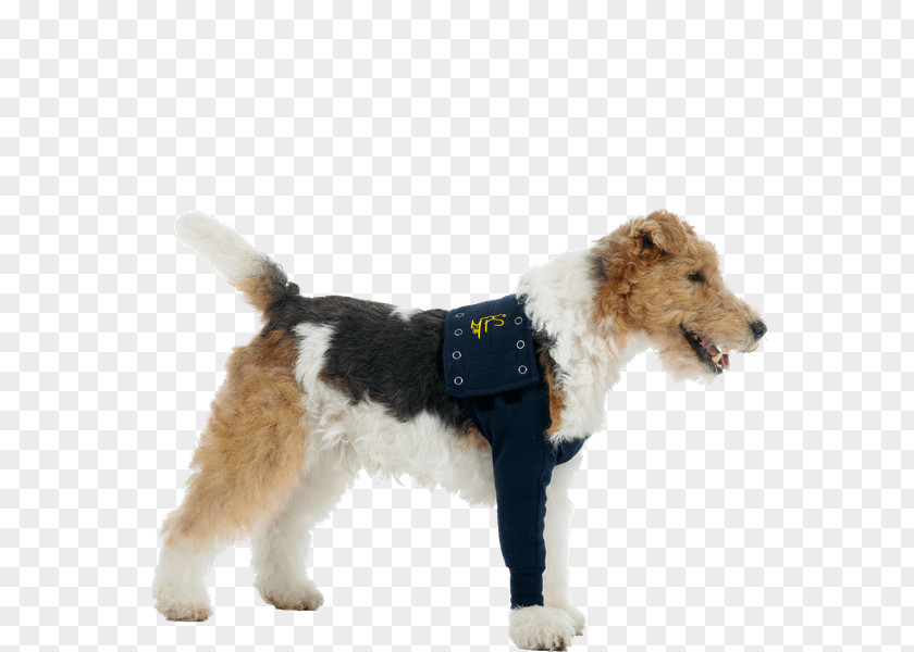 T-shirt Wire Hair Fox Terrier Dog Breed Bandage PNG