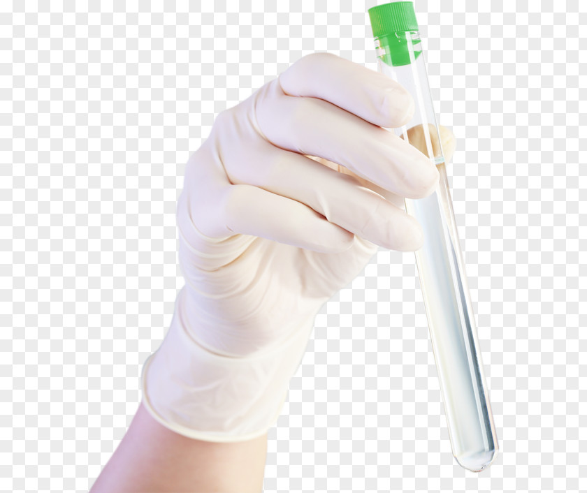 Hand Thumb Model Medical Glove PNG