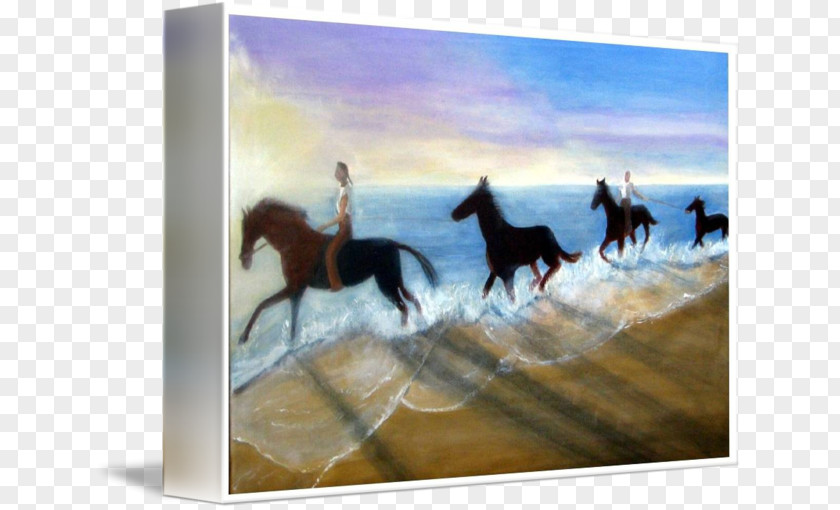 Horse On Beach Painting Canvas Gallery Wrap Art PNG