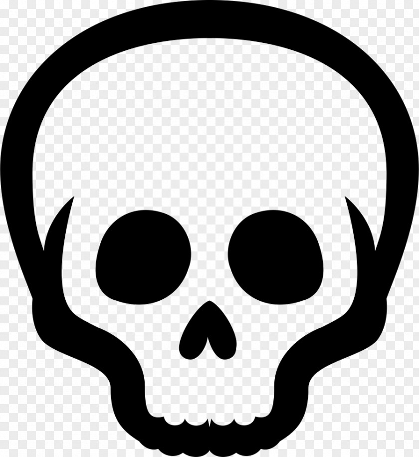 Skulls Skull Bone Neurocranium PNG