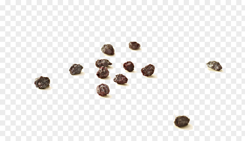 Blueberry Dry Picture Bilberry Snack PNG