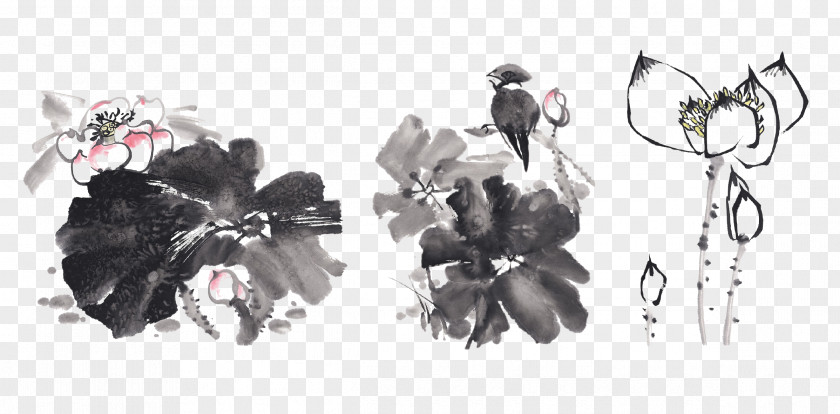 Chinese Ink Lotus Nelumbo Nucifera Wash Painting Drawing Brush PNG