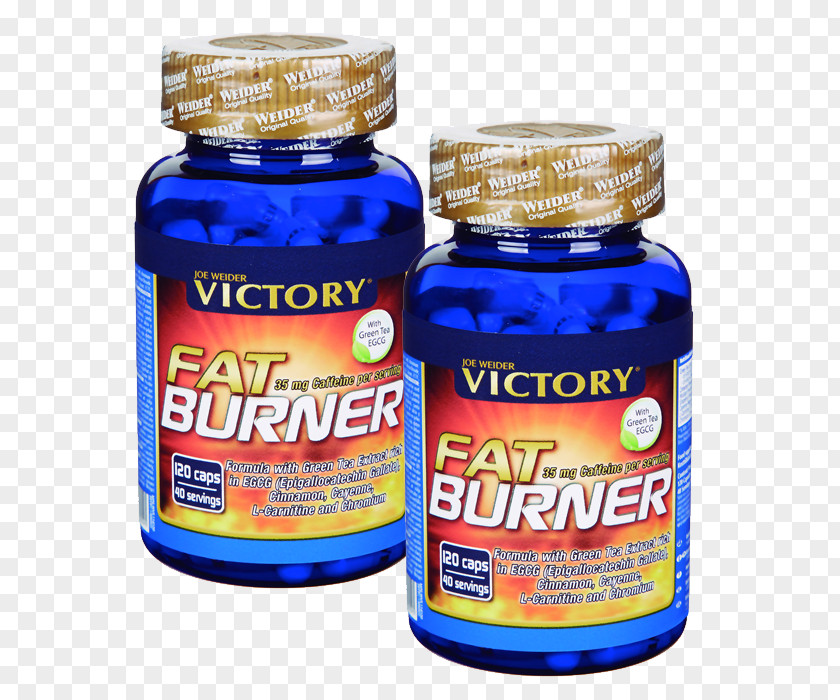 Dietary Supplement Fatburner Levocarnitine Weight Loss PNG