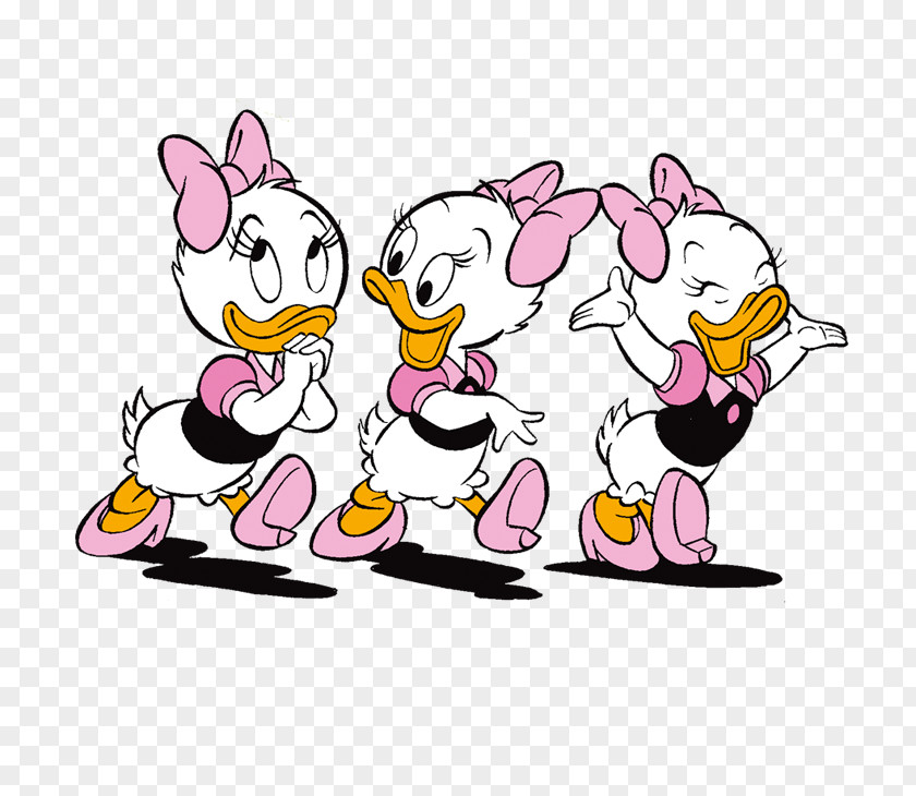 Donald Duck Daisy Domestic April, May And June Huey, Dewey Louie PNG