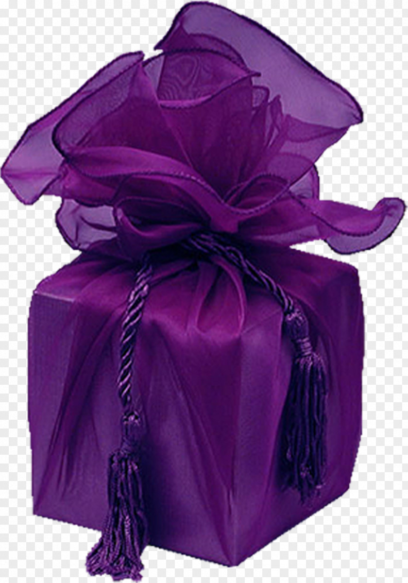 Gift Birthday Violet Lilac Purple Magenta PNG