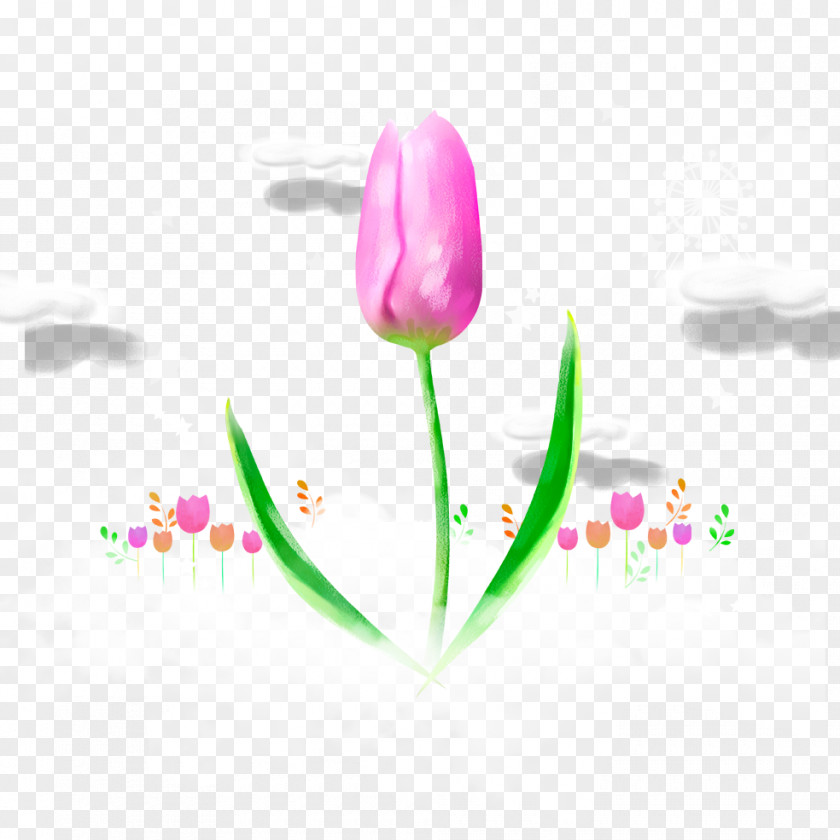 Hand-painted Tulip Flower PNG