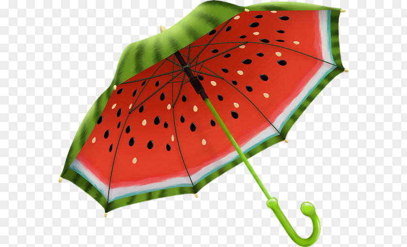Melon Umbrella Gift Shop Souvenir Raincoat PNG