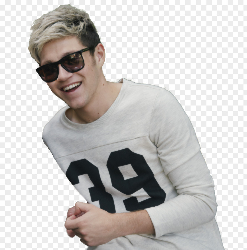 Niall Horan The X Factor One Direction Four On Road Again Tour PNG