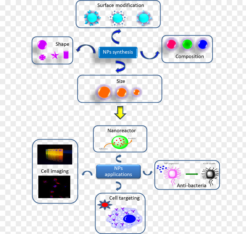 Applications Of Nanotechnology Nanoparticle Biology Biomedical Engineering PNG