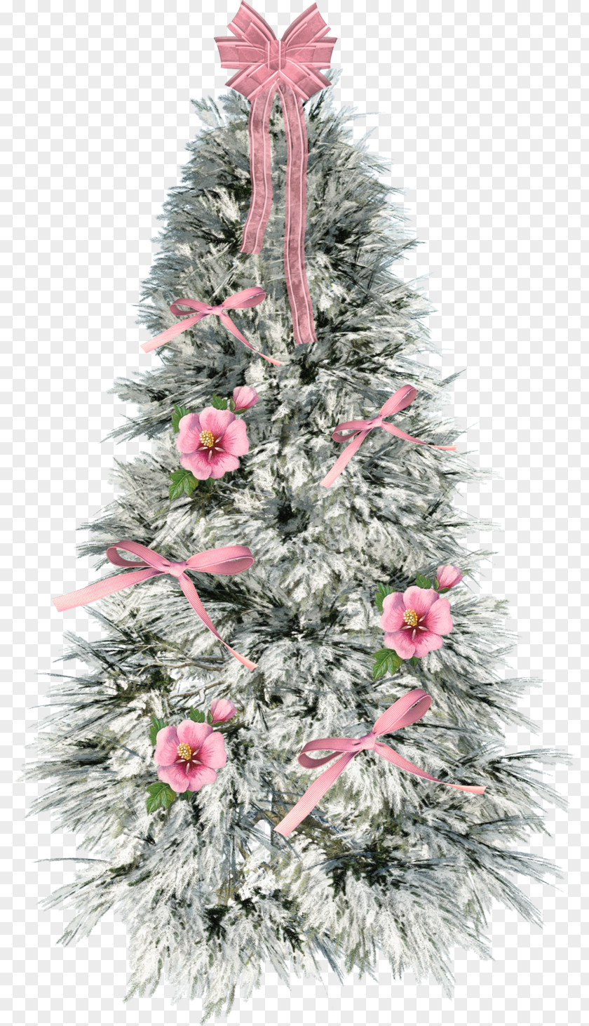 Christmas Tree Spruce Ornament Fir Pine PNG