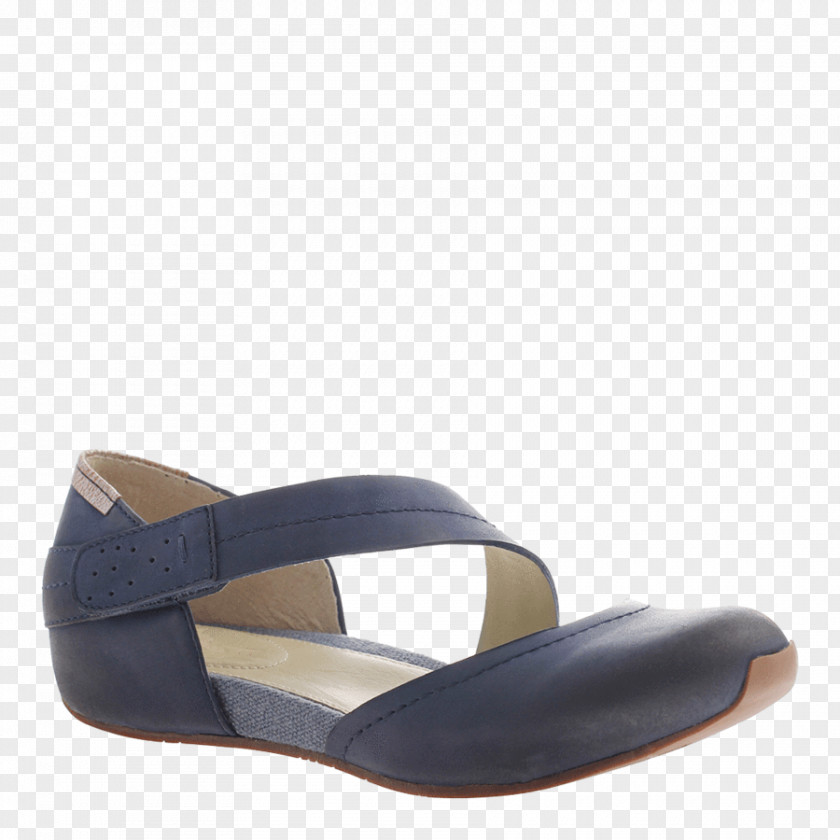 Dany Blue Pacific City Leather Flat Shoe Suede Footwear SandalSandal Ballet Flats By Otbt PNG