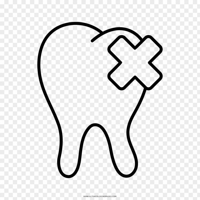 Diente De Leon Dibujo Human Tooth Drawing Whiskers Decay PNG