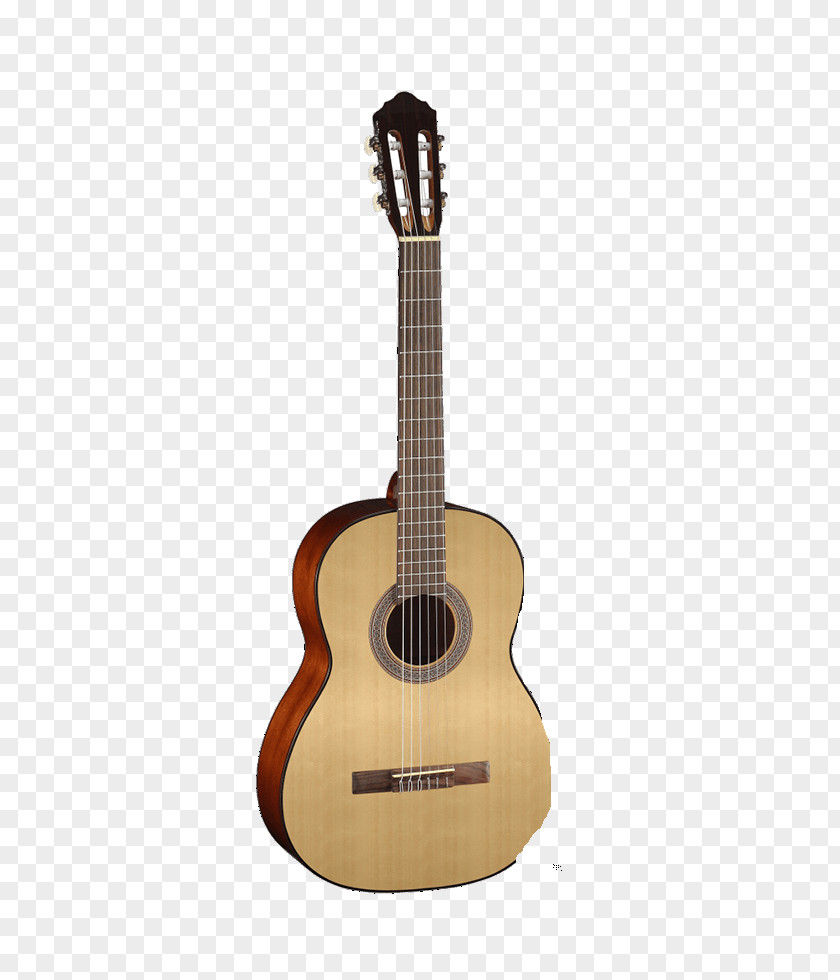Guitar Alhambra Classical Flamenco Acoustic PNG