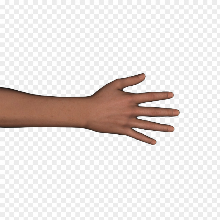 Hand Thumb Walking Arm PNG