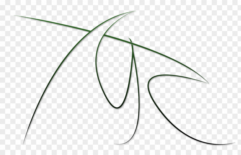Line Drawing Art Point Clip PNG