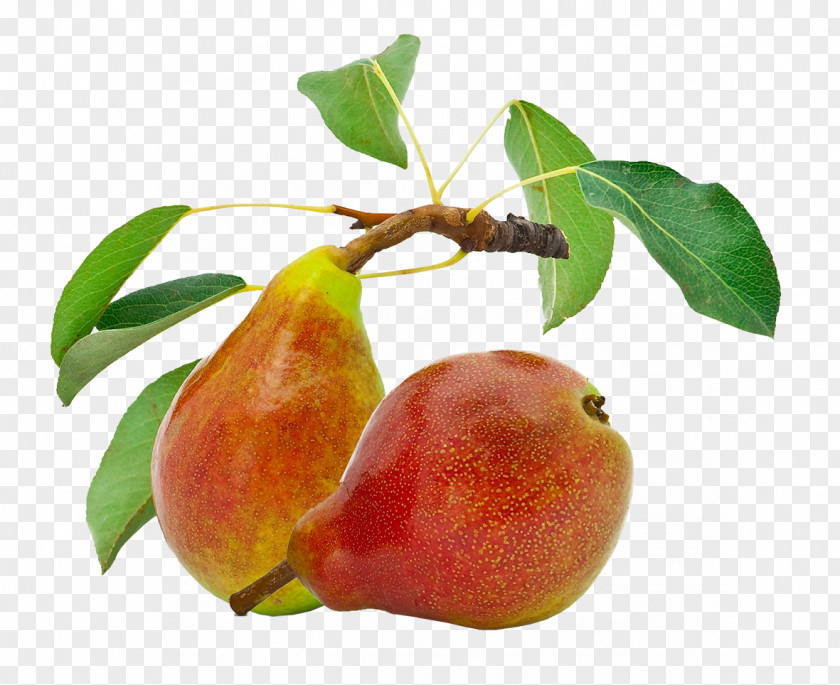 Pear Organic Food Gluten Nut PNG