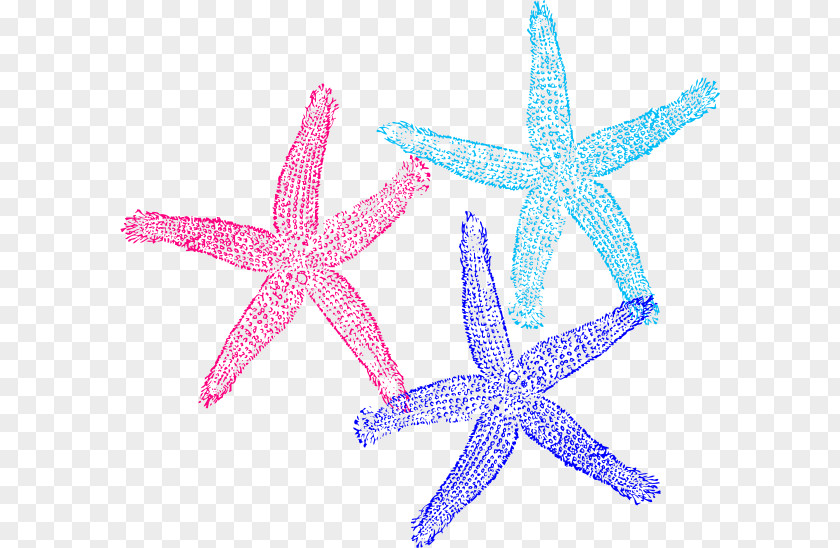 Colored Starfish Coral Clip Art PNG