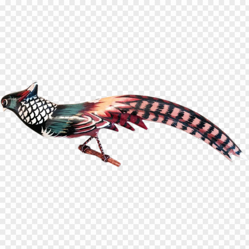 Feather Beak PNG