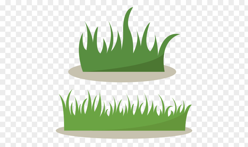 Green Grass Drawing Shrub PNG