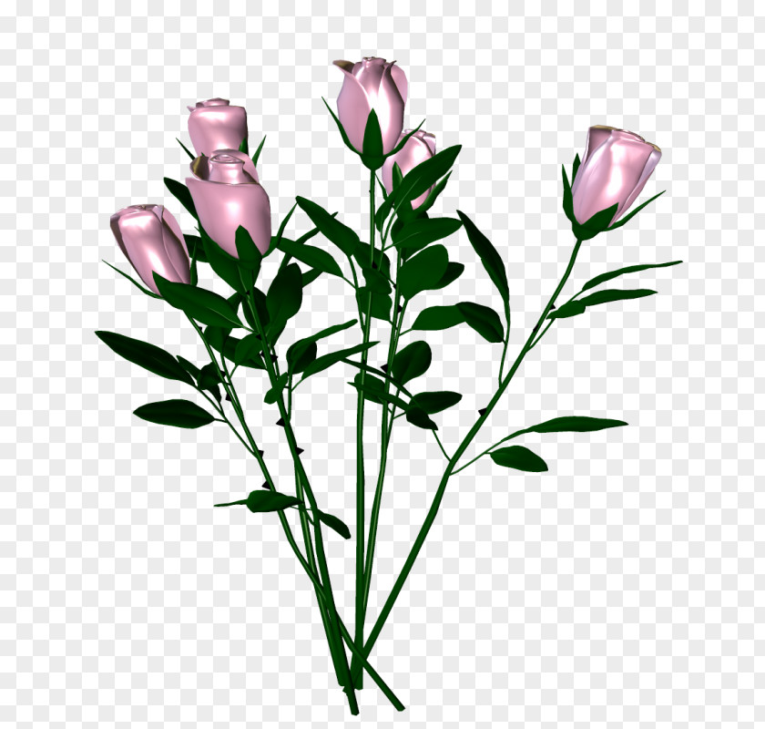 Painting Cut Flowers Tulip Image PNG