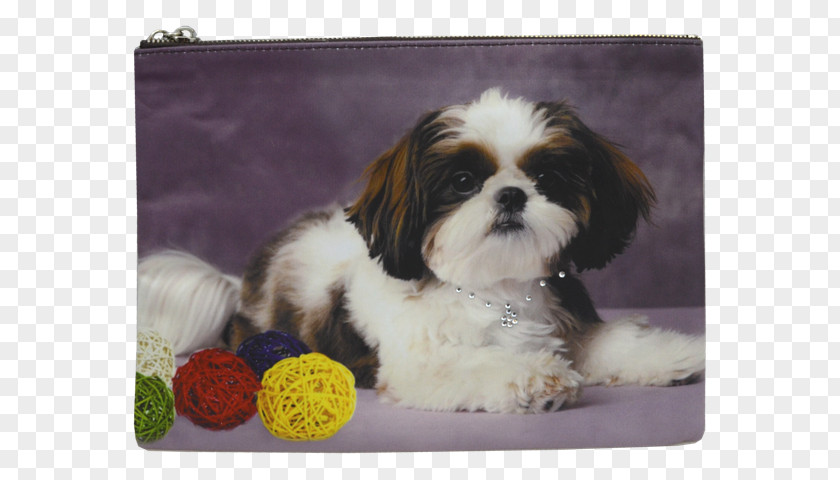 Shih Tzus EL SHIH TZU Puppy Dog Breed Race PNG