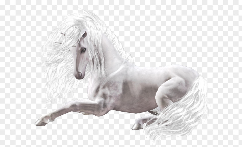Unicorn White Horse Gift Clip Art PNG
