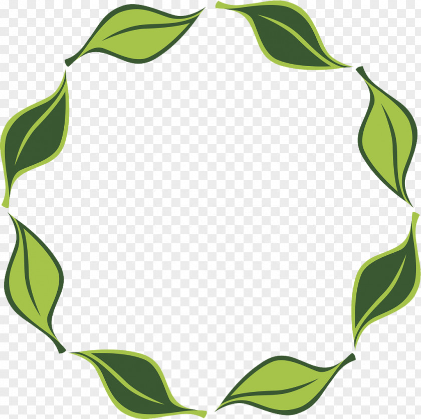 Vector Leaf Circle PNG
