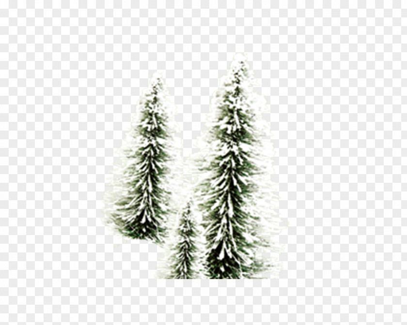 Christmas Tree In Snow Santa Claus Desktop Wallpaper Lights PNG