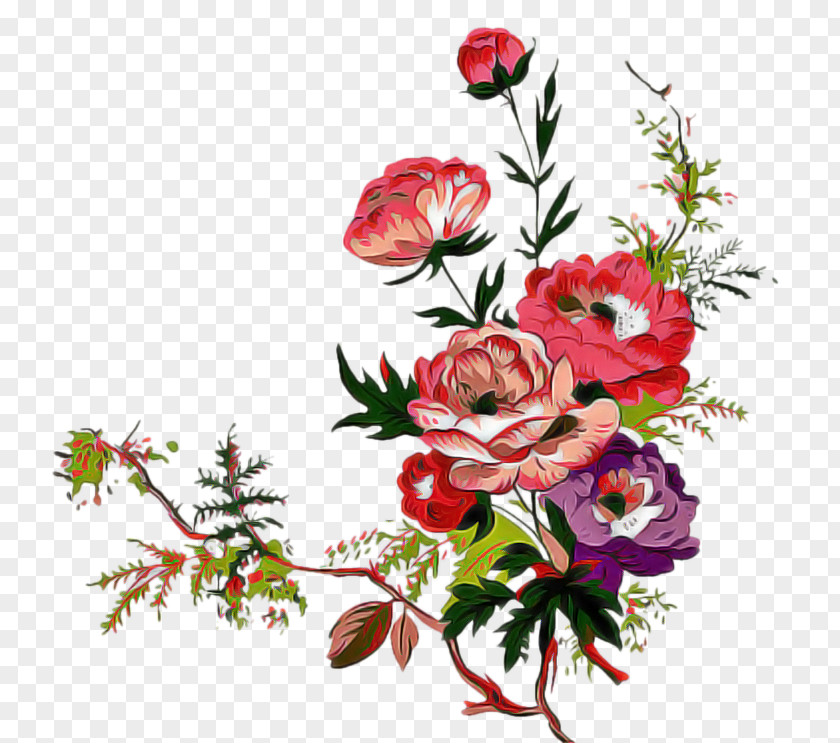 Floristry Rose PNG