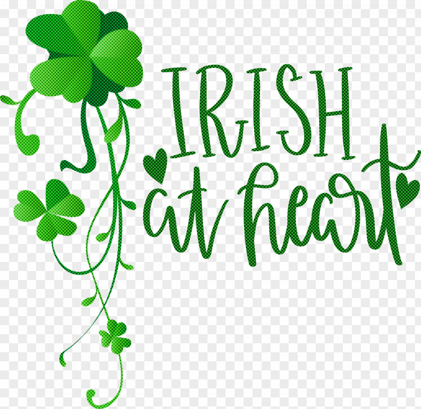 Shamrock Irish Saint Patrick PNG