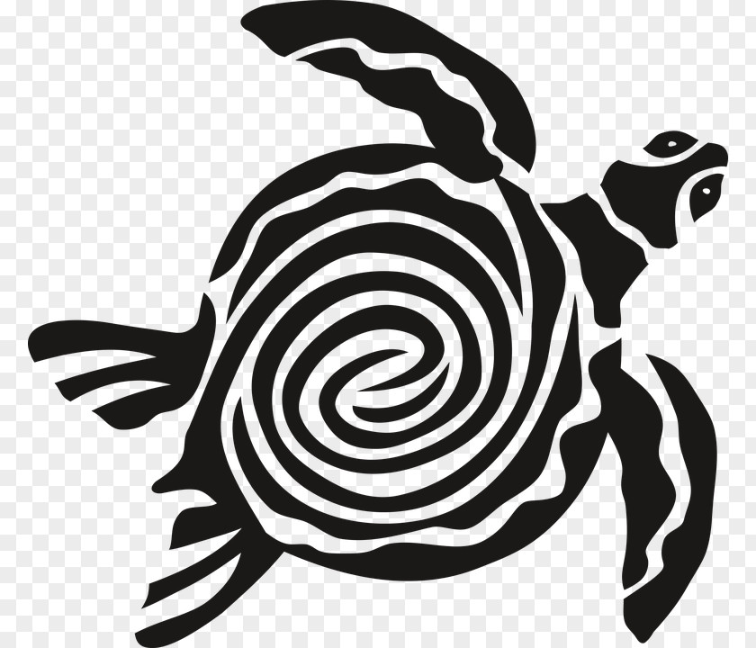 Turtle Sea Vector Graphics Clip Art PNG