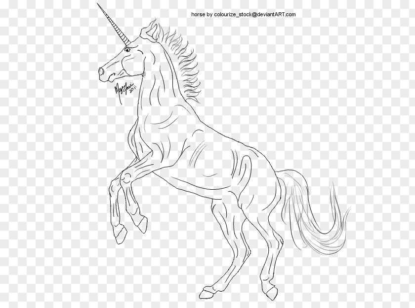 Hand Drawn Unicorn Mustang Drawing /m/02csf Pack Animal PNG