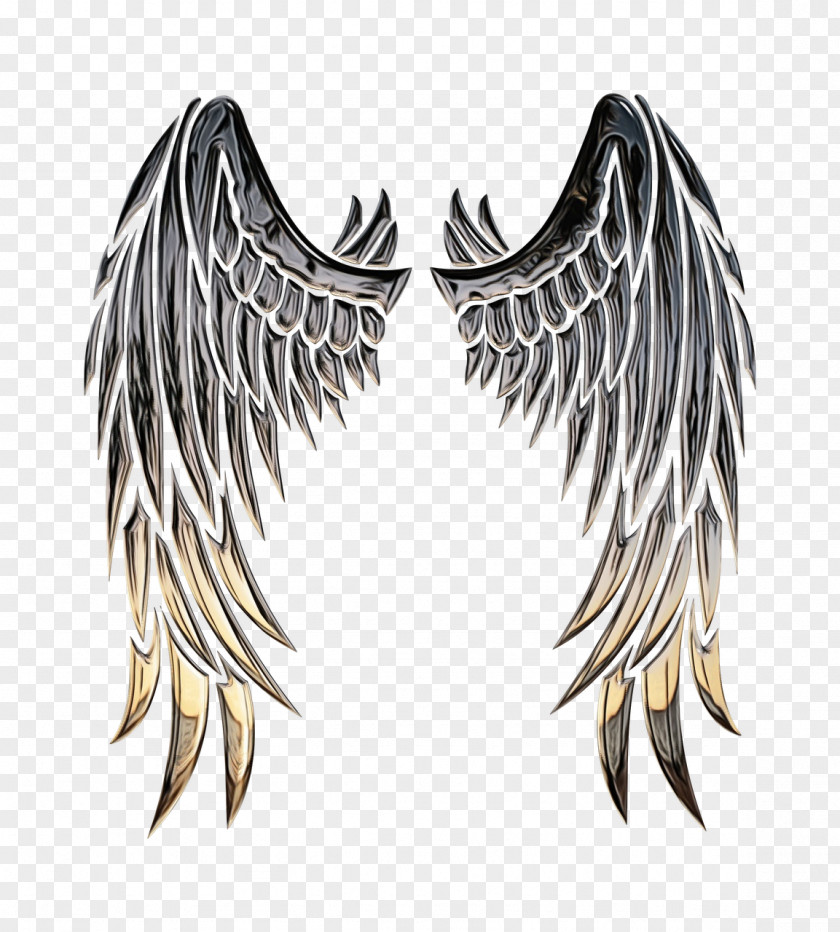 Metal Feather Background PNG